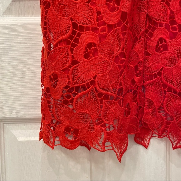 Ann Taylor Lace Dress - Picture 10 of 16